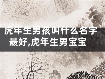 虎年生男孩叫什么名字最好,虎年生男宝宝