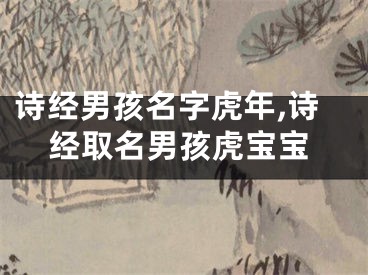 诗经男孩名字虎年,诗经取名男孩虎宝宝