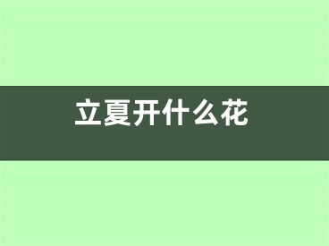 立夏开什么花