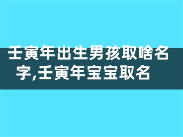 壬寅年出生男孩取啥名字,壬寅年宝宝取名