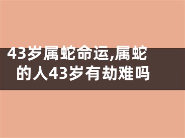 43岁属蛇命运,属蛇的人43岁有劫难吗