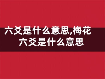 六爻是什么意思,梅花六爻是什么意思