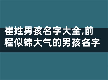 崔姓男孩名字大全,前程似锦大气的男孩名字