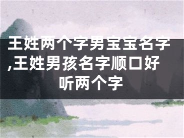 王姓两个字男宝宝名字,王姓男孩名字顺口好听两个字