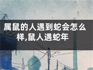 属鼠的人遇到蛇会怎么样,鼠人遇蛇年