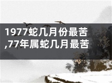 1977蛇几月份最苦,77年属蛇几月最苦