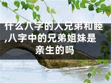 什么八字的人兄弟和睦,八字中的兄弟姐妹是亲生的吗