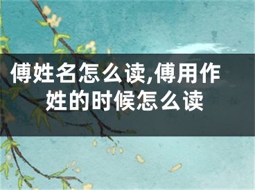 傅姓名怎么读,傅用作姓的时候怎么读