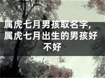属虎七月男孩取名字,属虎七月出生的男孩好不好