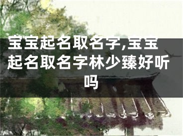 宝宝起名取名字,宝宝起名取名字林少臻好听吗