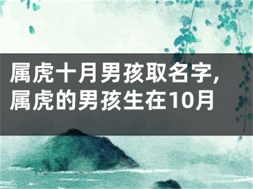 属虎十月男孩取名字,属虎的男孩生在10月