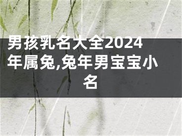 男孩乳名大全2024年属兔,兔年男宝宝小名
