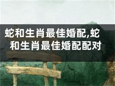蛇和生肖最佳婚配,蛇和生肖最佳婚配配对