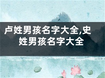 卢姓男孩名字大全,史姓男孩名字大全