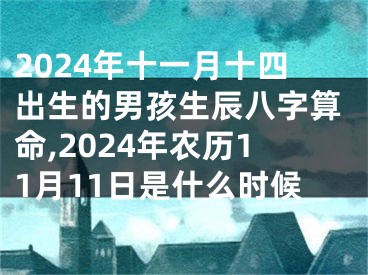 2024年十一月十四出生的男孩生辰八字算命,2024年农历11月11日是什么时候