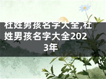 杜姓男孩名字大全,杜姓男孩名字大全2023年