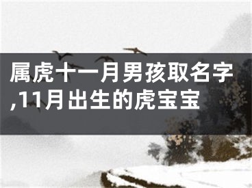 属虎十一月男孩取名字,11月出生的虎宝宝