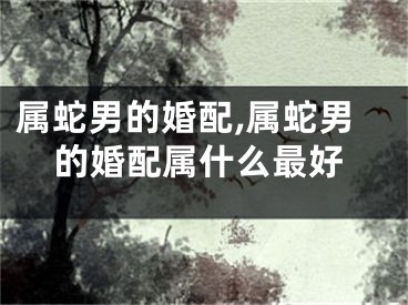 属蛇男的婚配,属蛇男的婚配属什么最好
