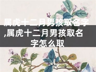 属虎十二月男孩取名字,属虎十二月男孩取名字怎么取