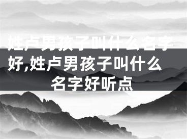 姓卢男孩子叫什么名字好,姓卢男孩子叫什么名字好听点