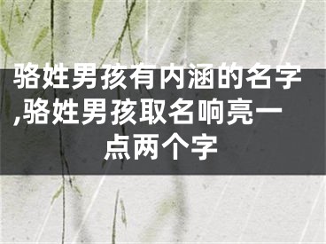 骆姓男孩有内涵的名字,骆姓男孩取名响亮一点两个字