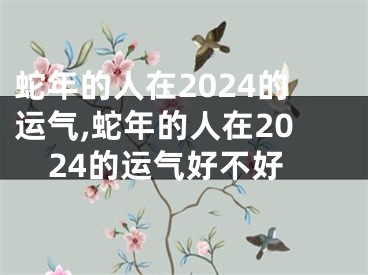 蛇年的人在2024的运气,蛇年的人在2024的运气好不好