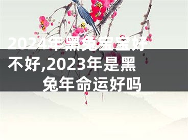 2024年黑兔宝宝好不好,2023年是黑兔年命运好吗