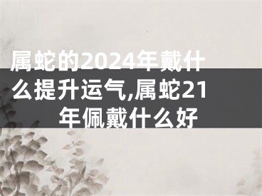 属蛇的2024年戴什么提升运气,属蛇21年佩戴什么好