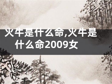 火牛是什么命,火牛是什么命2009女