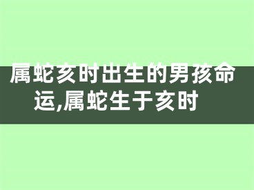 属蛇亥时出生的男孩命运,属蛇生于亥时