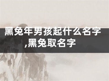 黑兔年男孩起什么名字,黑兔取名字
