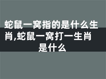 蛇鼠一窝指的是什么生肖,蛇鼠一窝打一生肖是什么