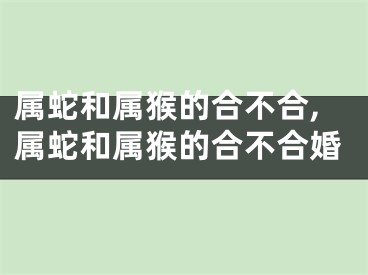 属蛇和属猴的合不合,属蛇和属猴的合不合婚