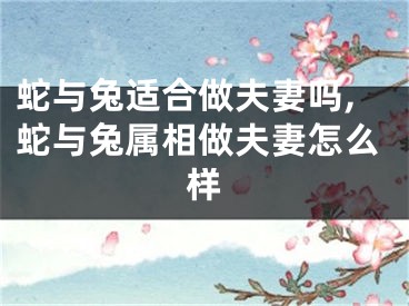 蛇与兔适合做夫妻吗,蛇与兔属相做夫妻怎么样
