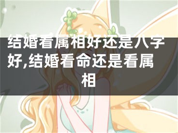 结婚看属相好还是八字好,结婚看命还是看属相