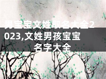 男宝宝文姓取名大全2023,文姓男孩宝宝名字大全
