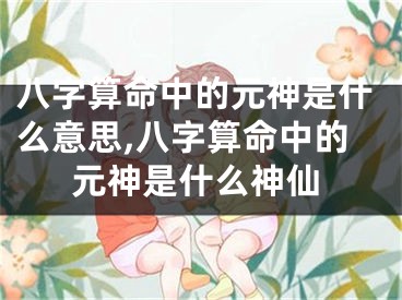 八字算命中的元神是什么意思,八字算命中的元神是什么神仙