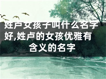 姓卢女孩子叫什么名字好,姓卢的女孩优雅有含义的名字