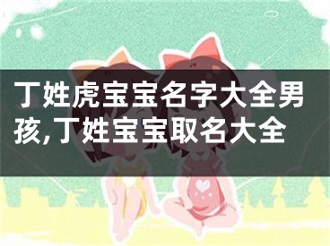 丁姓虎宝宝名字大全男孩,丁姓宝宝取名大全
