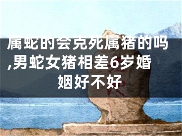 属蛇的会克死属猪的吗,男蛇女猪相差6岁婚姻好不好