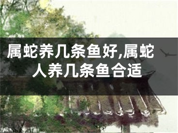 属蛇养几条鱼好,属蛇人养几条鱼合适