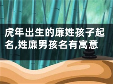 虎年出生的廉姓孩子起名,姓廉男孩名有寓意