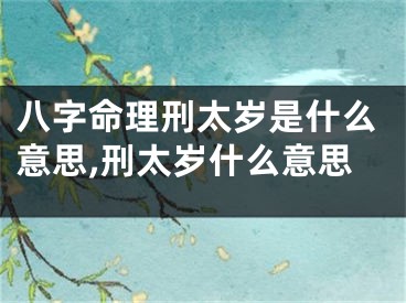八字命理刑太岁是什么意思,刑太岁什么意思