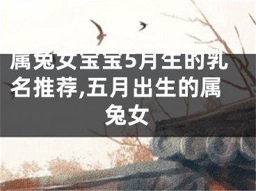 属兔女宝宝5月生的乳名推荐,五月出生的属兔女