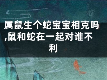 属鼠生个蛇宝宝相克吗,鼠和蛇在一起对谁不利