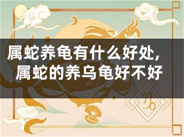 属蛇养龟有什么好处,属蛇的养乌龟好不好
