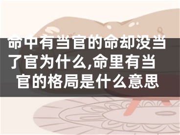 命中有当官的命却没当了官为什么,命里有当官的格局是什么意思