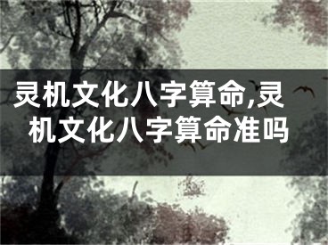 灵机文化八字算命,灵机文化八字算命准吗