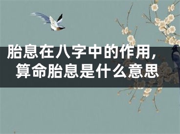 胎息在八字中的作用,算命胎息是什么意思