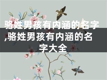 骆姓男孩有内涵的名字,骆姓男孩有内涵的名字大全